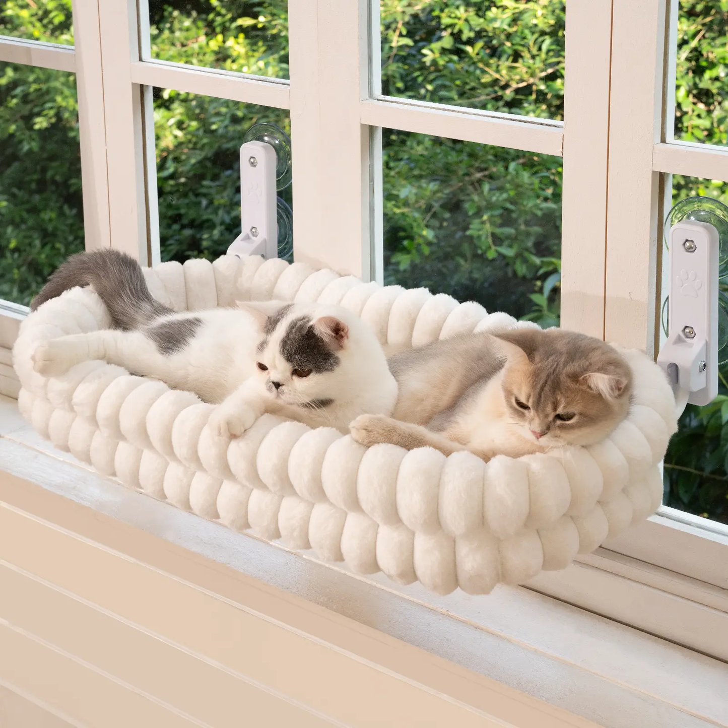 The Window Loft